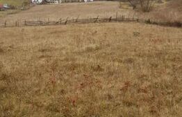 Teren Șaru Dornei 5 hectare