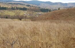 Teren Șaru Dornei 5 hectare