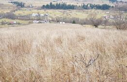 Teren Șaru Dornei 5 hectare