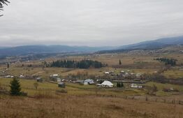 Teren extravilan,  5 hectare, Șaru Dornei 