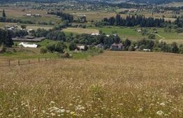 Teren extravilan,  5 hectare, Șaru Dornei 