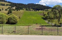 Teren extravilan,  5 hectare, Șaru Dornei 