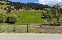 Teren extravilan,  5 hectare, Șaru Dornei 