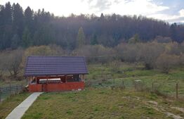 Pensiune, zona superba Paltinoasa!