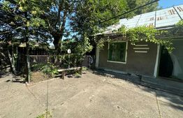Oportunitate, Casa de vanzare ,teren 3500 MP, zona Negostina