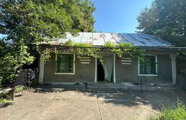 Oportunitate, Casa de vanzare ,teren 3500 MP, zona Negostina