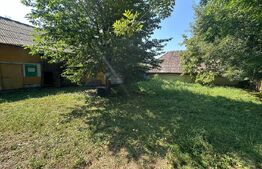 Oportunitate, Casa de vanzare ,teren 3500 MP, zona Negostina