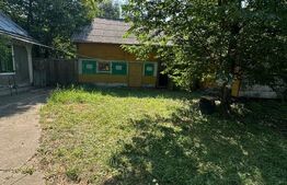 Oportunitate, Casa de vanzare ,teren 3500 MP, zona Negostina