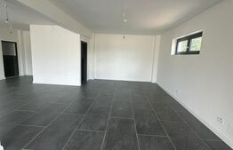 Oportunitate!  Inchiriere ,Spațiu Multifuncțional,  Vicovu de Sus 