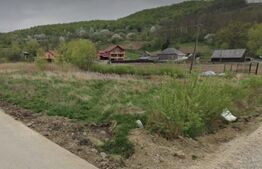 Teren intravilan, 1800 mp - în Preutești