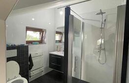 Casă individuală, P+1+M,  teren 6000 mp - zona Spătărești