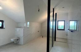 Casă individuală, P+1+M,  teren 6000 mp - zona Spătărești