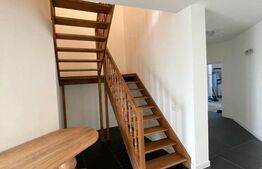 Casă individuală, P+1+M,  teren 6000 mp - zona Spătărești