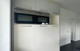 Casă individuală, P+1+M,  teren 6000 mp - zona Spătărești
