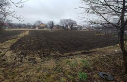 Casă Central în Radauți, teren 1500 mp