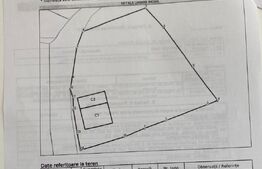 Casa Demolabila, 1000mp in Sf. Ilie Vechi