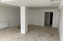 Spații comerciale Vatra Dornei + pensiune