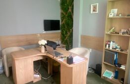 Spații comerciale Vatra Dornei + pensiune