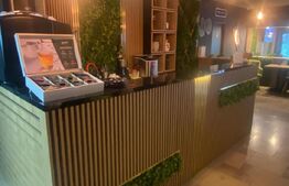 Spații comerciale Vatra Dornei + pensiune