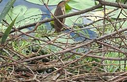 Spații comerciale Vatra Dornei + pensiune