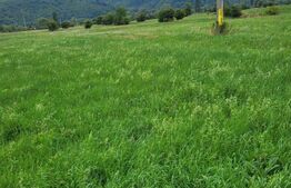 Teren Gura Humorului deschidere la DN