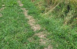 Teren Gura Humorului deschidere la DN