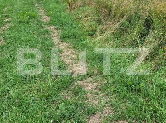 Teren de vânzare Exterior Vest - 155945TV | BLITZ Suceava | Poza2