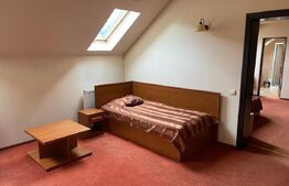 Vânzare pensiune + restaurant Vatra Dornei