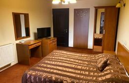 Vânzare pensiune + restaurant Vatra Dornei