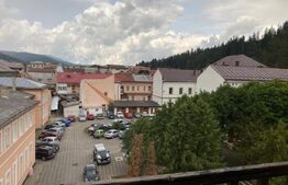 Vânzare pensiune + restaurant Vatra Dornei