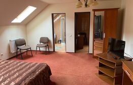 Vânzare pensiune + restaurant Vatra Dornei