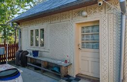 Casa batraneasca 70mp, dependinte, teren 5100mp, Hantesti