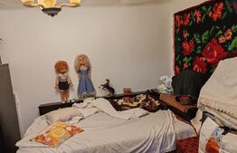 Casa batraneasca 70mp, dependinte, teren 5100mp, Hantesti