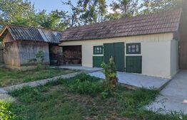 Casa batraneasca 70mp, dependinte, teren 5100mp, Hantesti