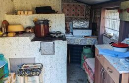 Casa batraneasca 70mp, dependinte, teren 5100mp, Hantesti