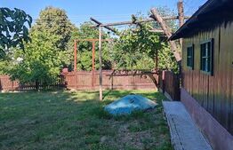 Casa batraneasca 70mp, dependinte, teren 5100mp, Hantesti