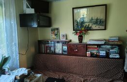 Casa batraneasca 70mp, dependinte, teren 5100mp, Hantesti