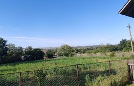 Casa batraneasca 70mp, dependinte, teren 5100mp, Hantesti
