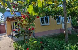 Casa batraneasca 70mp, dependinte, teren 5100mp, Hantesti