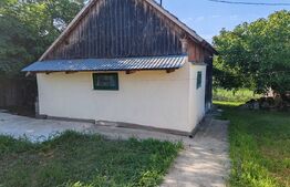 Casa batraneasca 70mp, dependinte, teren 5100mp, Hantesti