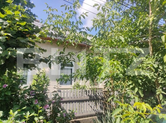 Casa de vânzare 4 camere Radauti - 156016CV | BLITZ Suceava | Poza2