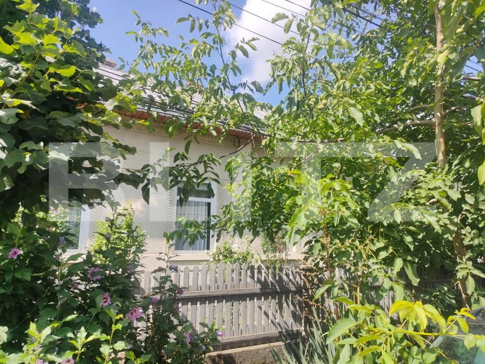 Casa de vânzare 4 camere Radauti - 156016CV | BLITZ Suceava | Poza2