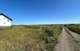 Teren intravilan , 2600 mp, dedicat investitorilor Ipotesti 