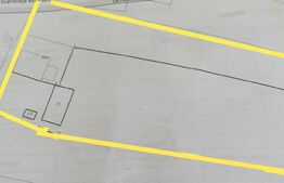 Teren 2306 mp, investitie, Liteni