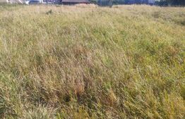 Casa demolabila+1200 mp teren, Radauti