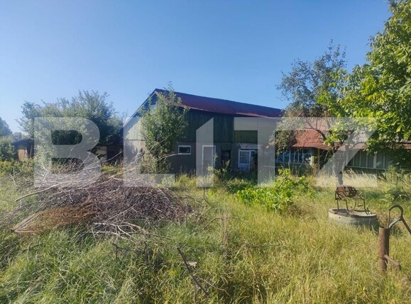 Casa de vânzare 3 camere Radauti - 156117CV | BLITZ Suceava | Poza3