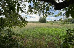 Casa batraneasca , renovabila , 91 mp , zona Stroiesti 