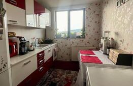 Apartament 4 camere, 100  mp, decomandat, cartier Burdujeni