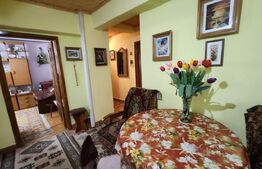 Apartament 3 camere, etaj intermediar, 65 mp utili, George Enescu