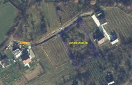 Teren intravilan 3943 mp,  front 49,49 m, Radaseni